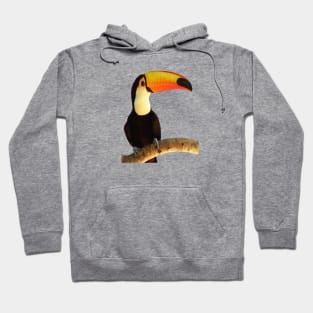 Tucano Hoodie